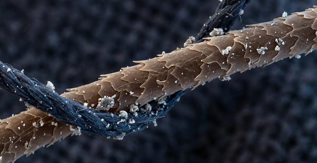 Microscopic Contamination: Pet Hair Latching onto Fabric Alt Text: A detailed 3D macro rendering of a single strand of pet hair hooked onto fabric fibers. Tiny dander and dust particles are visible clinging to the hair, illustrating how allergens stick to textiles.