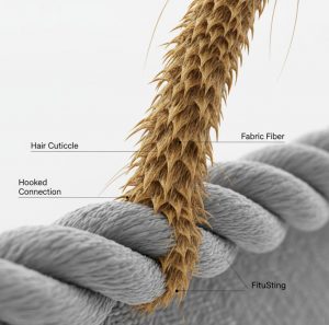 A 3D microscopic illustration of the structure of hair. It shows how the hair cuticle scales cling to the fabric fibers, explaining why hair is so difficult to remove from clothing.